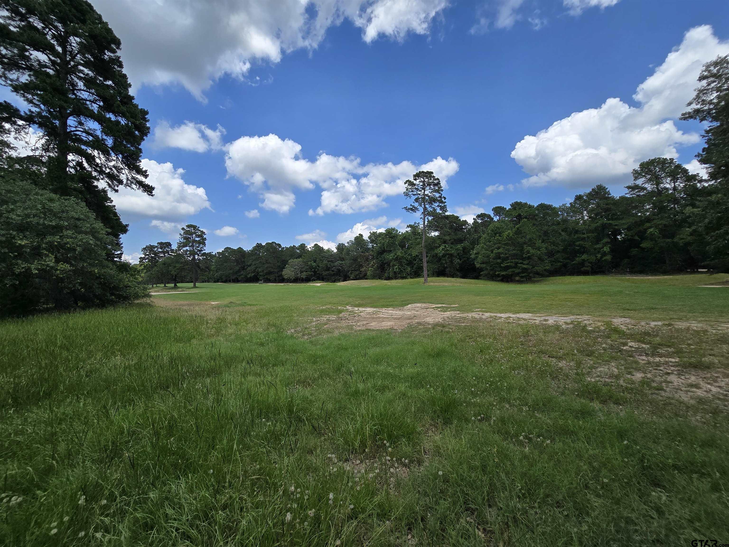 Frankston, Texas 75763, United States, ,Land,Active,138023