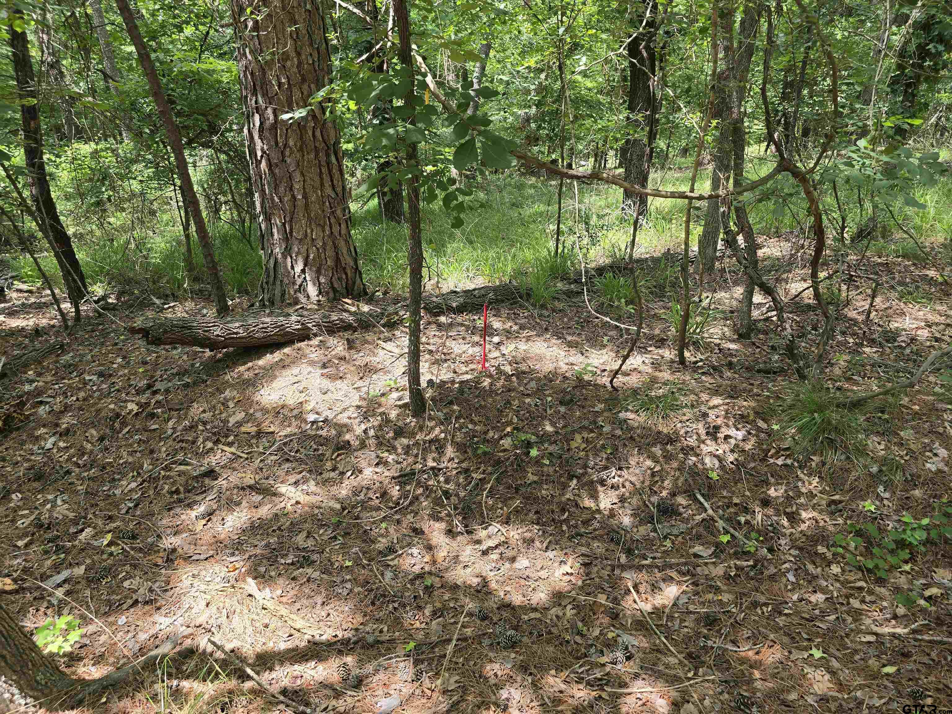 Frankston, Texas 75763, United States, ,Land,Active,138023