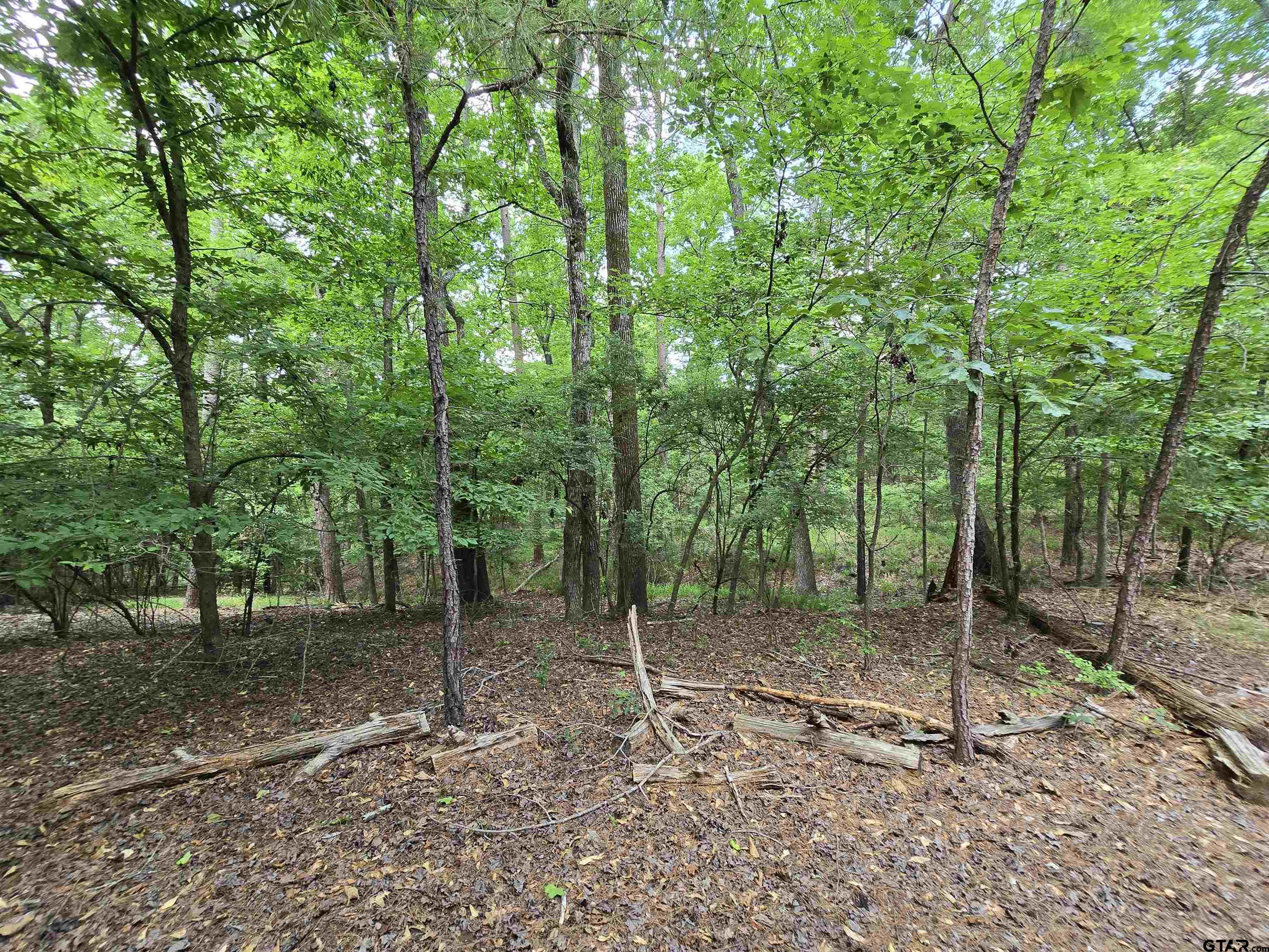 Frankston, Texas 75763, United States, ,Land,Active,138023