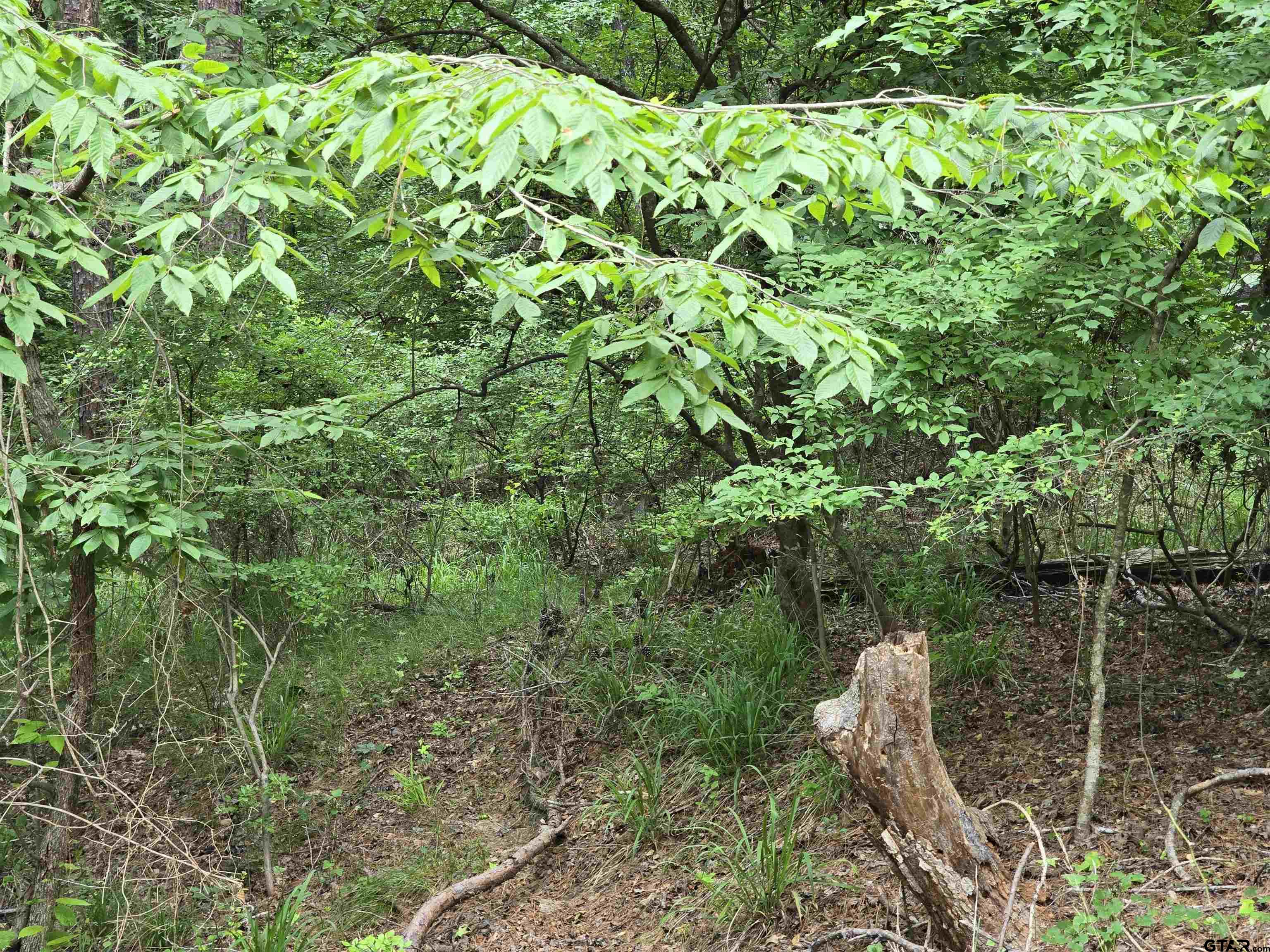 Frankston, Texas 75763, United States, ,Land,Active,138023