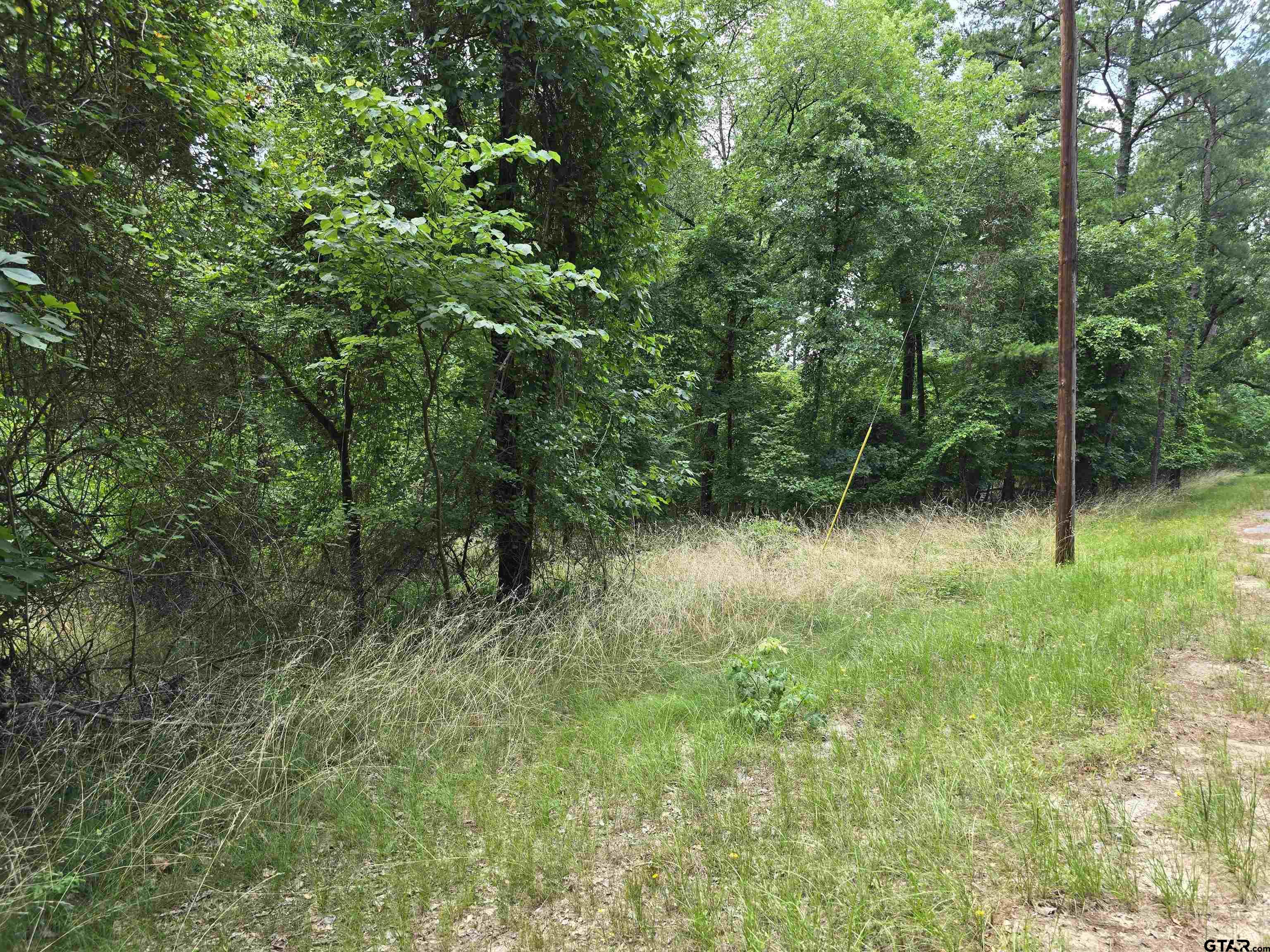 Frankston, Texas 75763, United States, ,Land,Active,138023