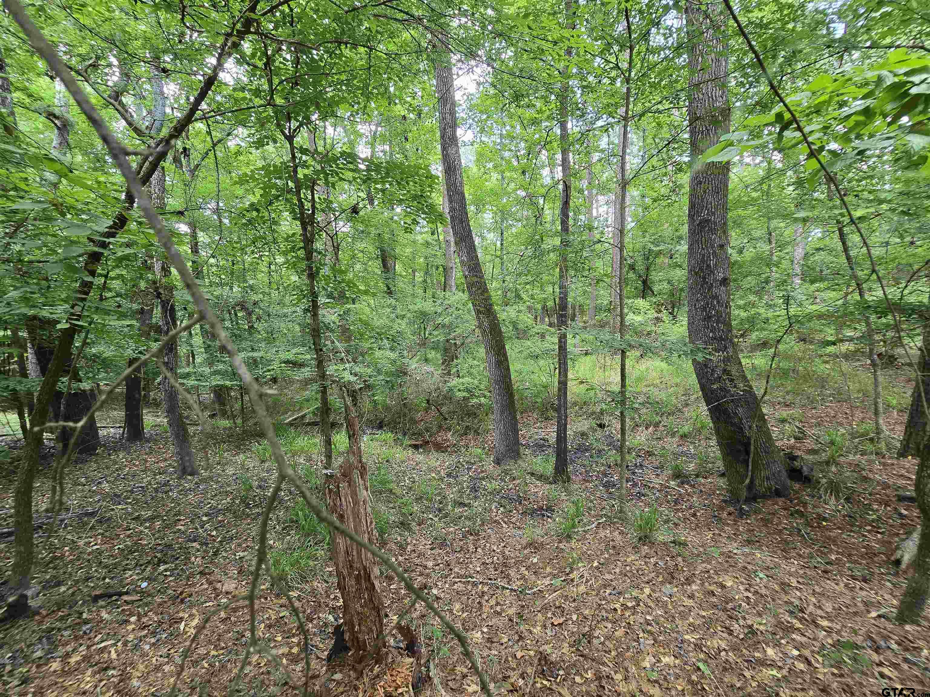 Frankston, Texas 75763, United States, ,Land,Active,138023