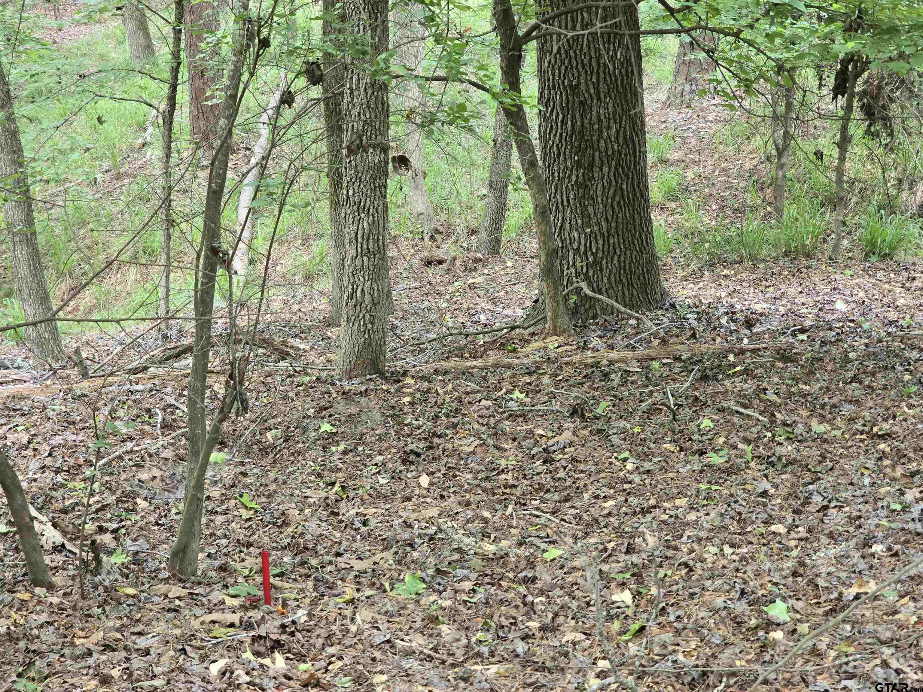 Frankston, Texas 75763, United States, ,Land,Active,138023