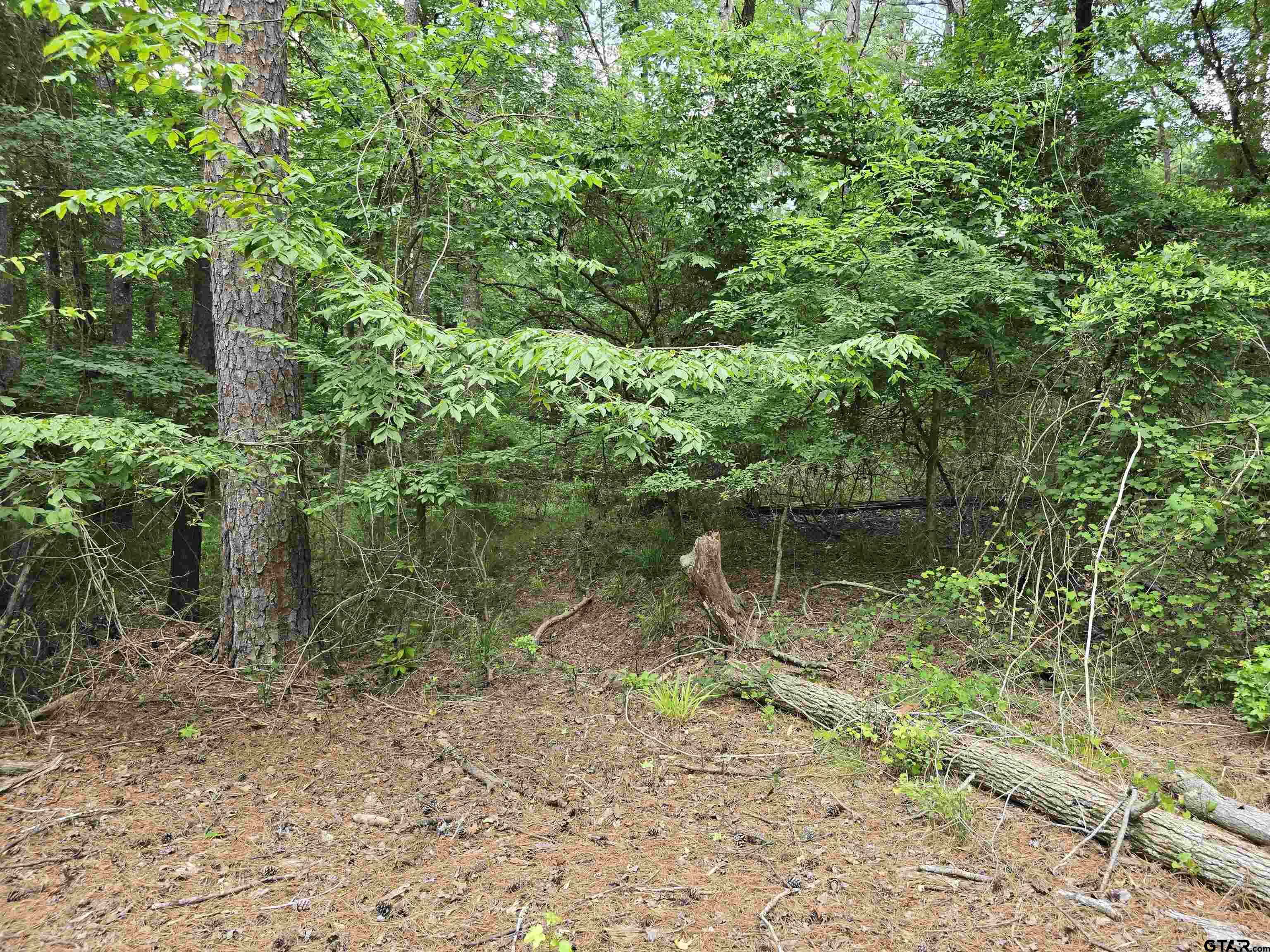 Frankston, Texas 75763, United States, ,Land,Active,138023