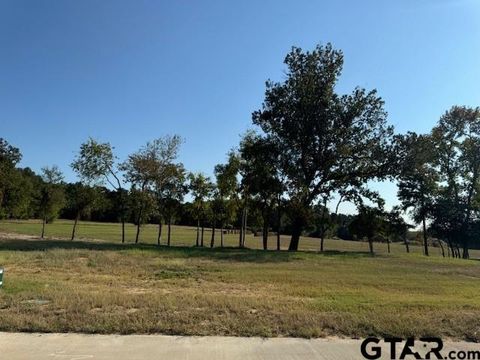6885 Lazy Vale Ct Tyler TX 75703