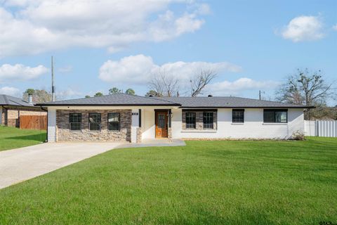 225 Joy Dr Ore City TX 75683