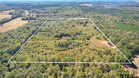 TBD CR 3201 Whitmore Rd Omaha TX 75571