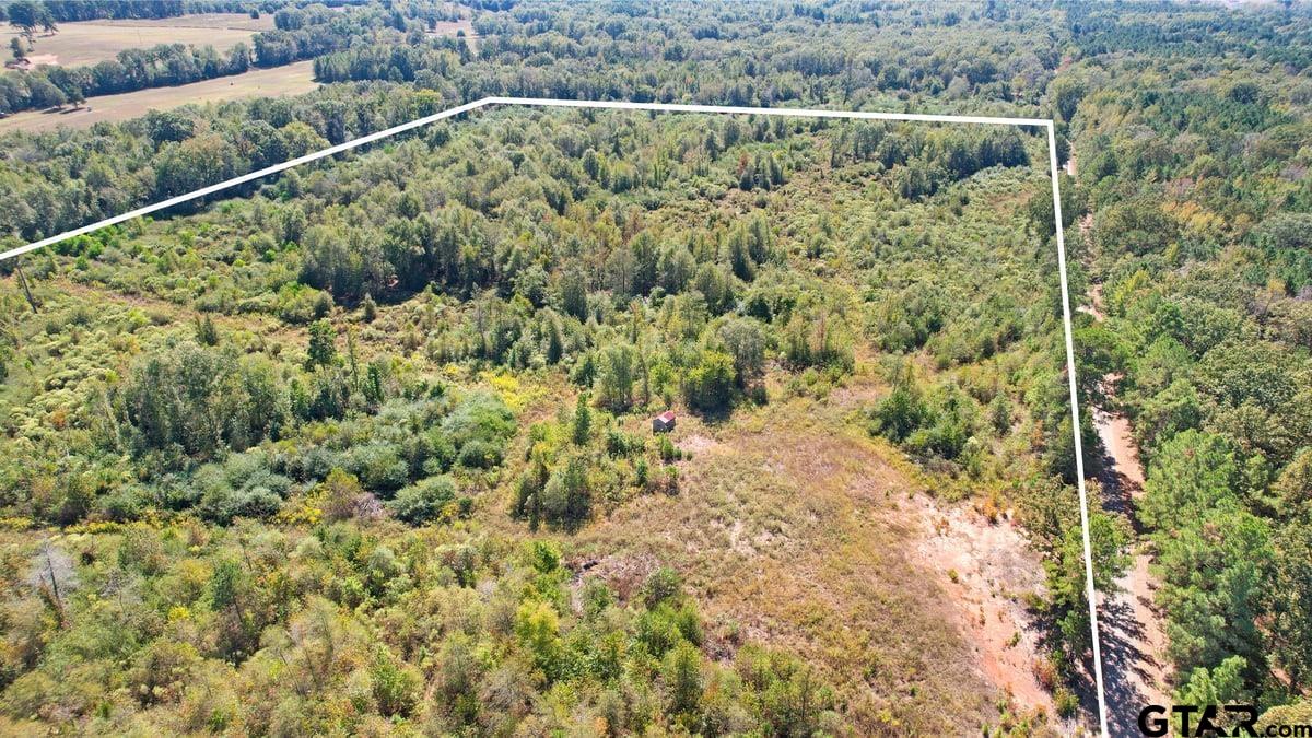 TBD CR 3201 Whitmore Rd