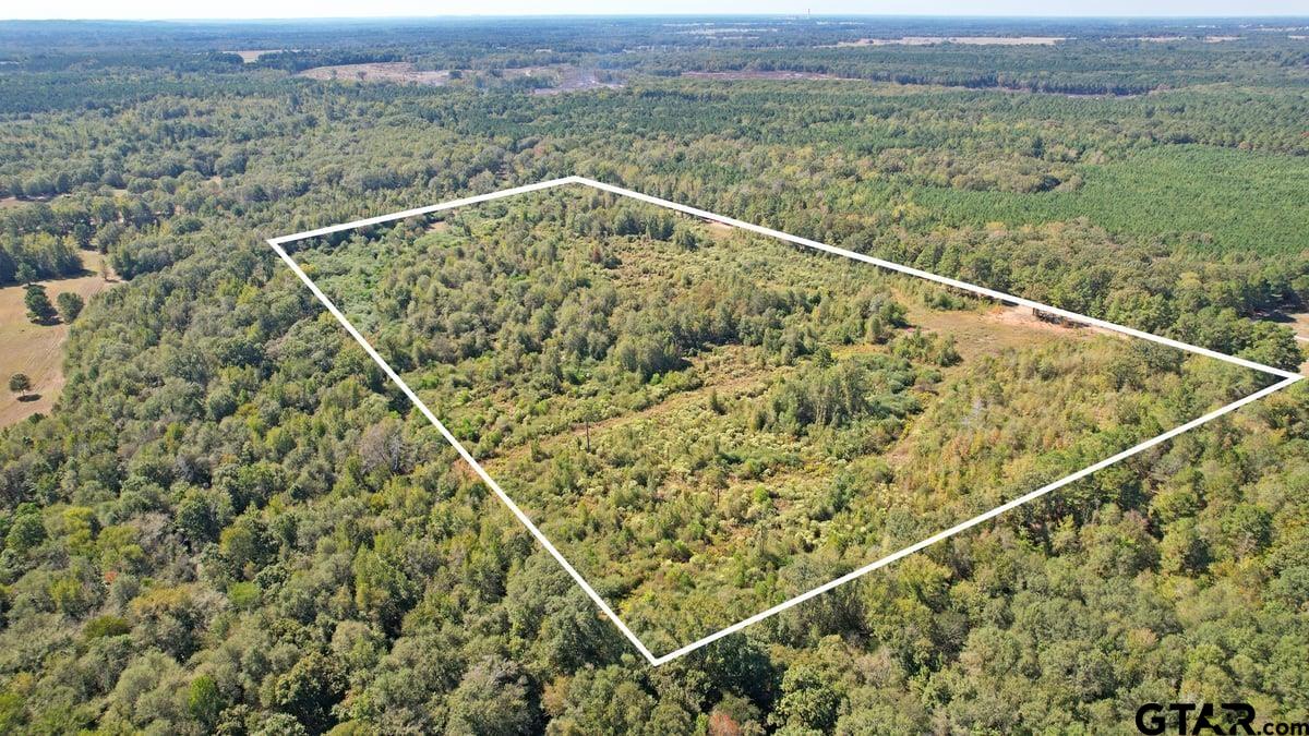 TBD CR 3201 Whitmore Rd