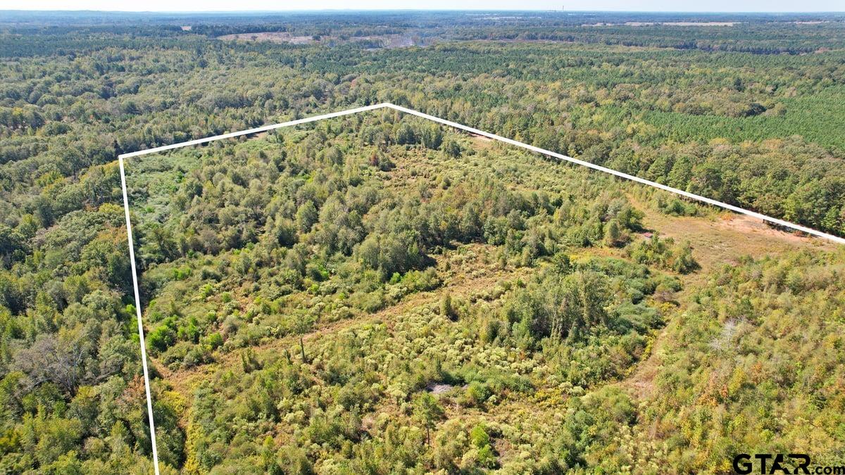 TBD CR 3201 Whitmore Rd