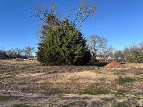 14001 Cedar Hill Lane (Lindale ISD) Tyler TX 75704