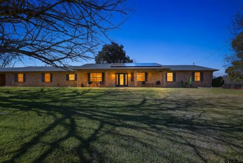 1409 Bassett Rd Palestine TX 75803