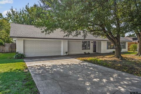 221 Azalea Lane Sulphur Springs TX 75482