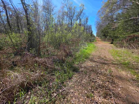 1230 Balmorea Dr Bullard TX 75757