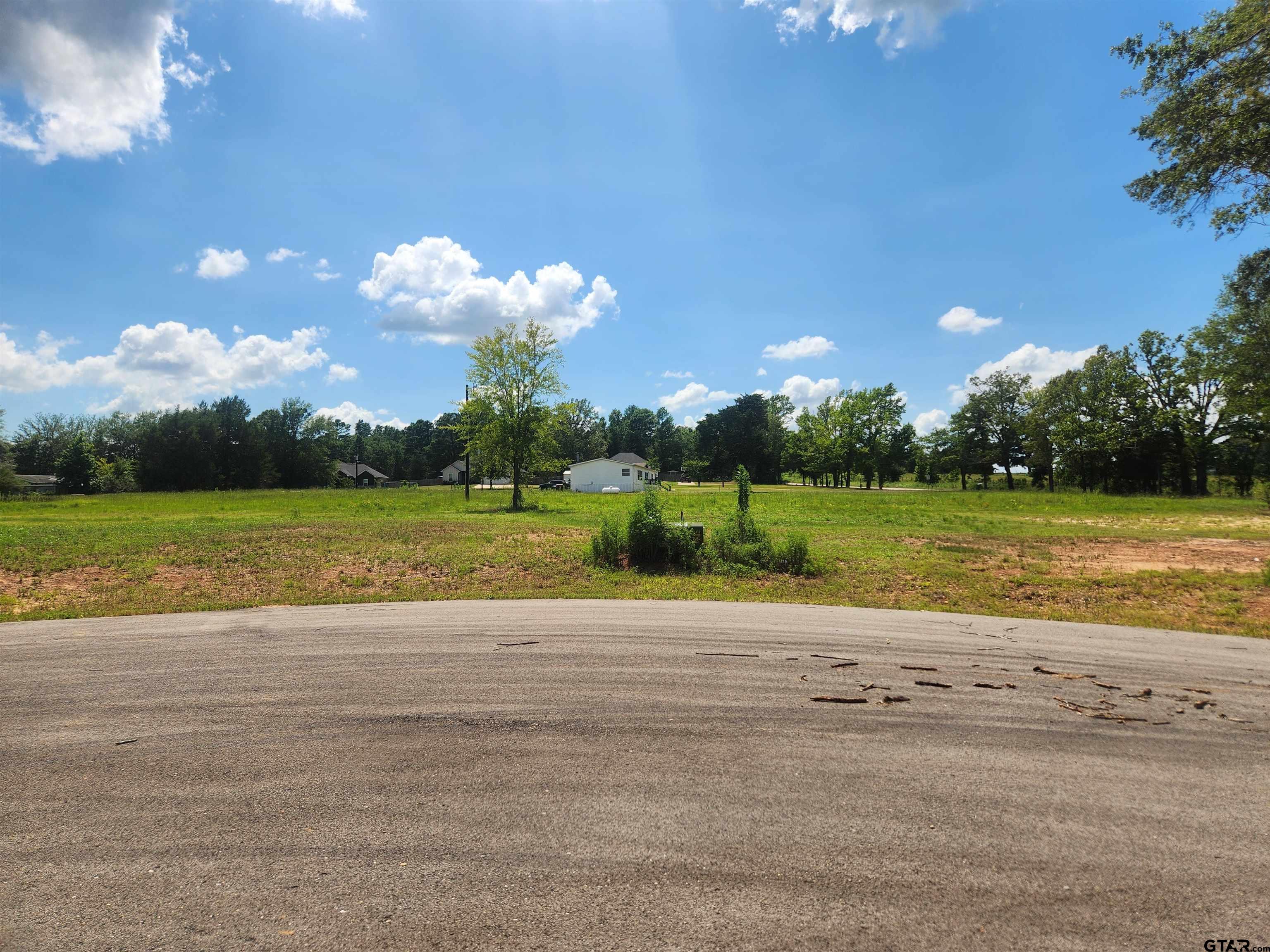 20048 Dews Ct Lot 5