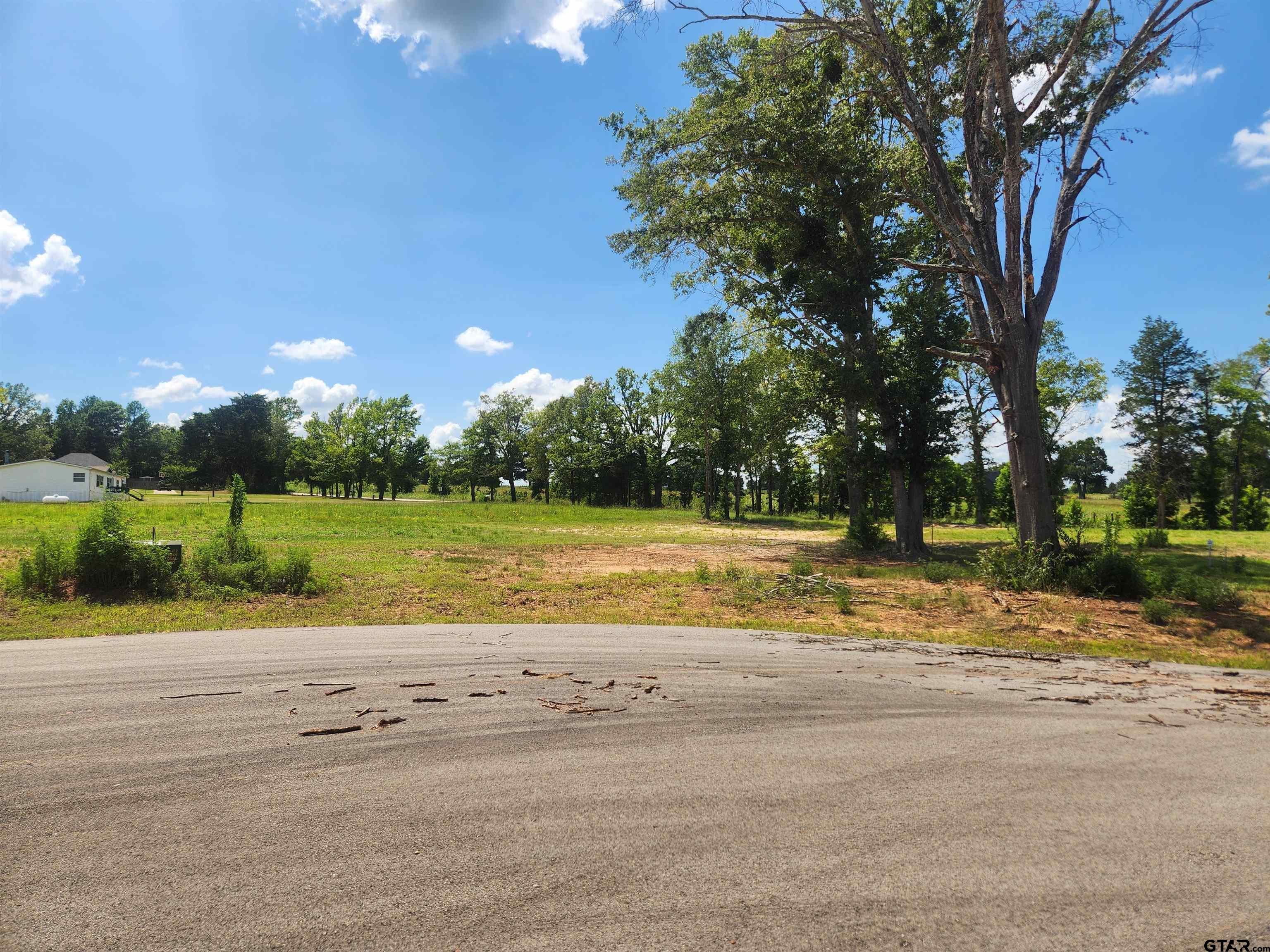20048 Dews Ct Lot 5