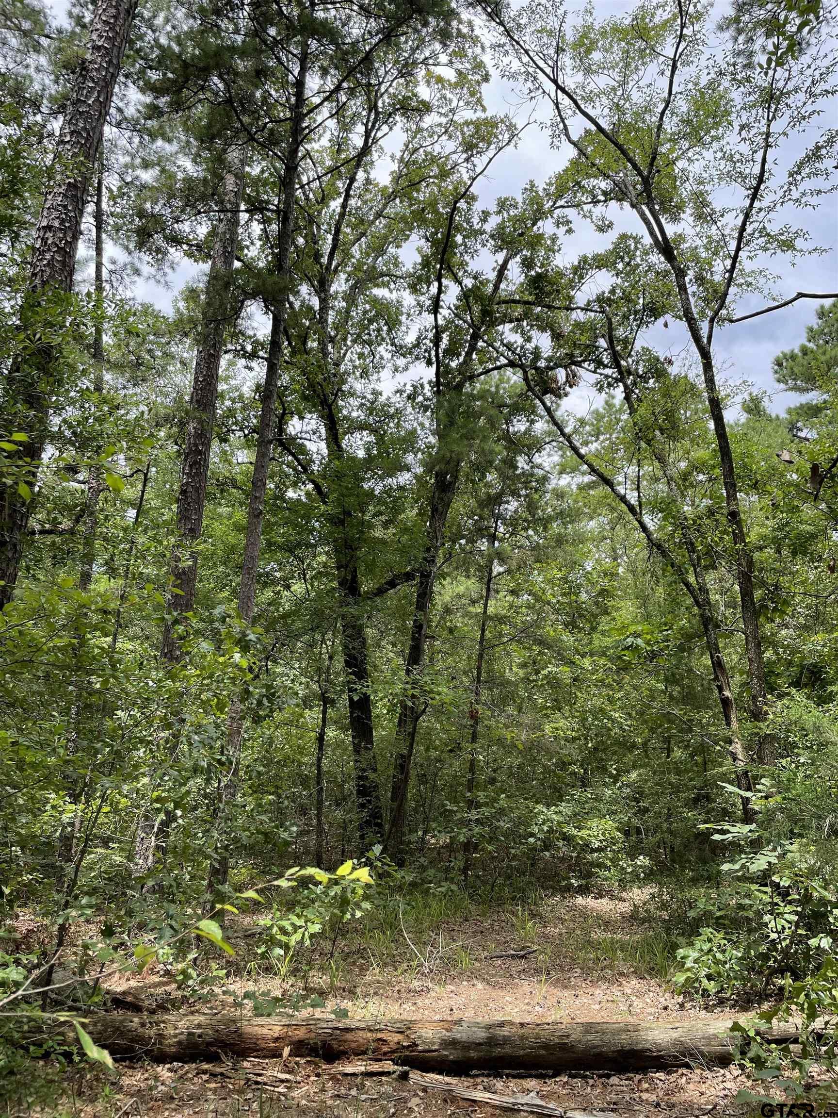 TBD 9.91 Acres PR 6662