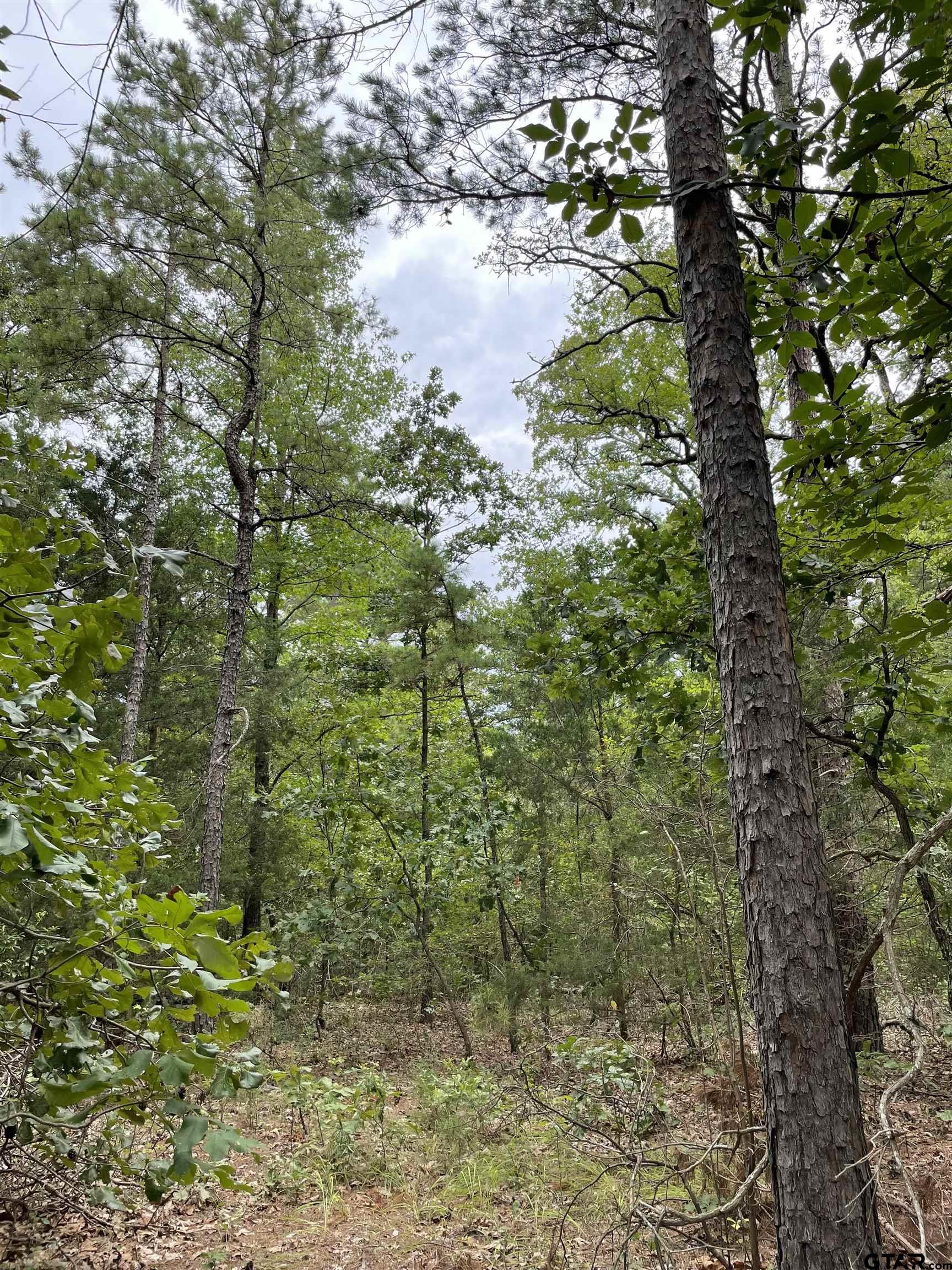 TBD 9.91 Acres PR 6662