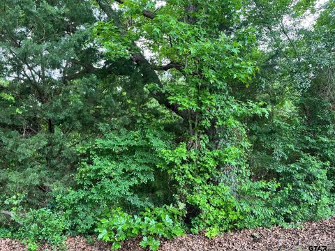 TBD FM 779 OFF HWY 37 Mineola TX 75773
