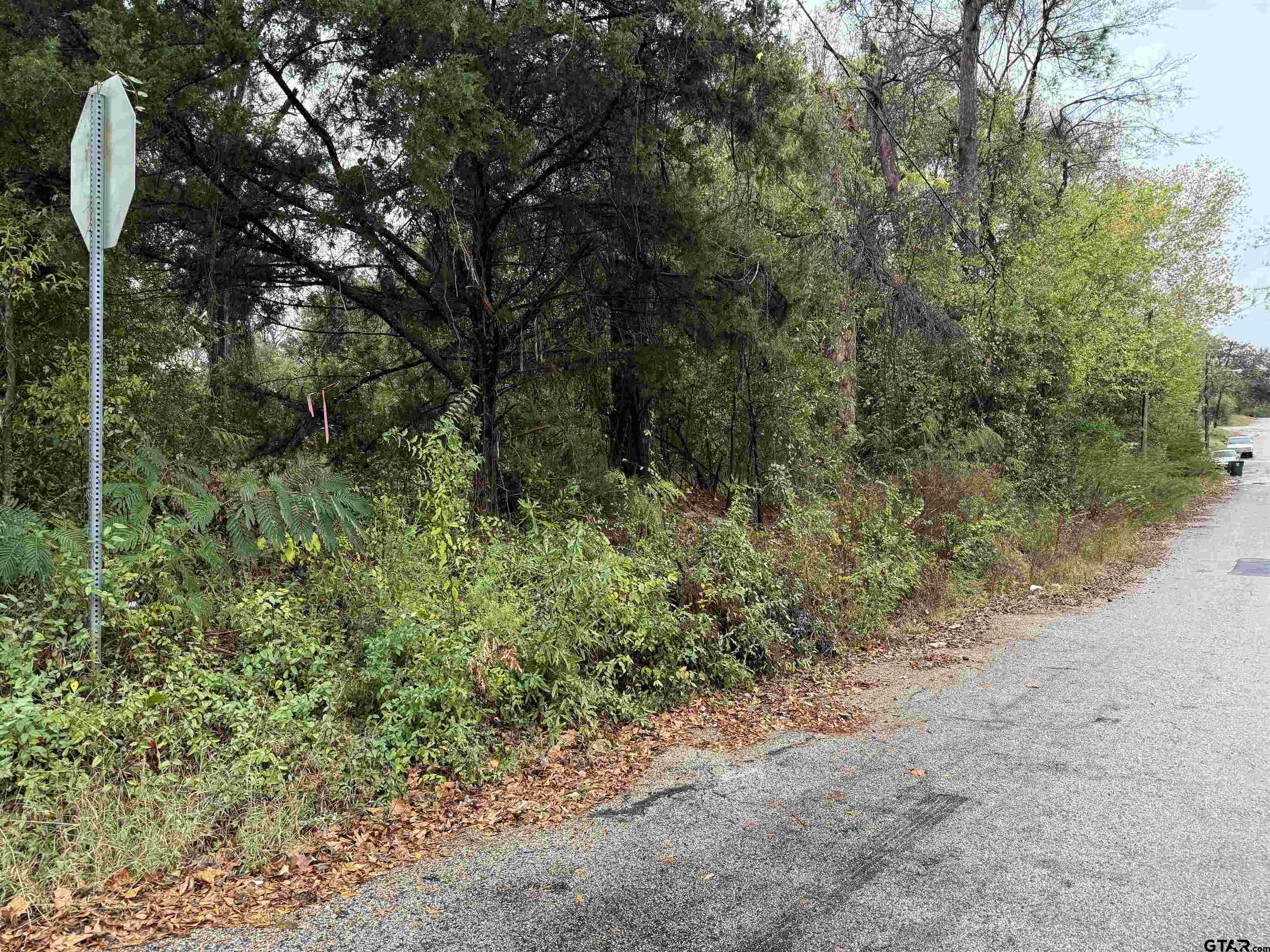 1520 W Oakwood Street