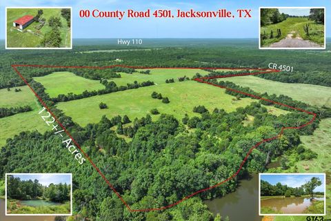 00 County Road 4501 Jacksonville TX 75766