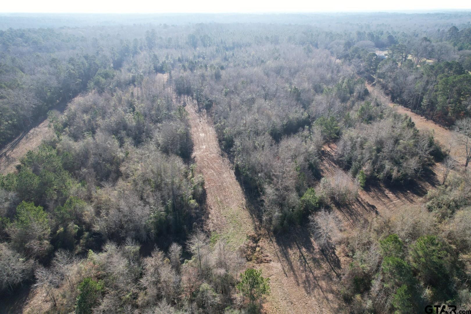 TBD County Road 4919