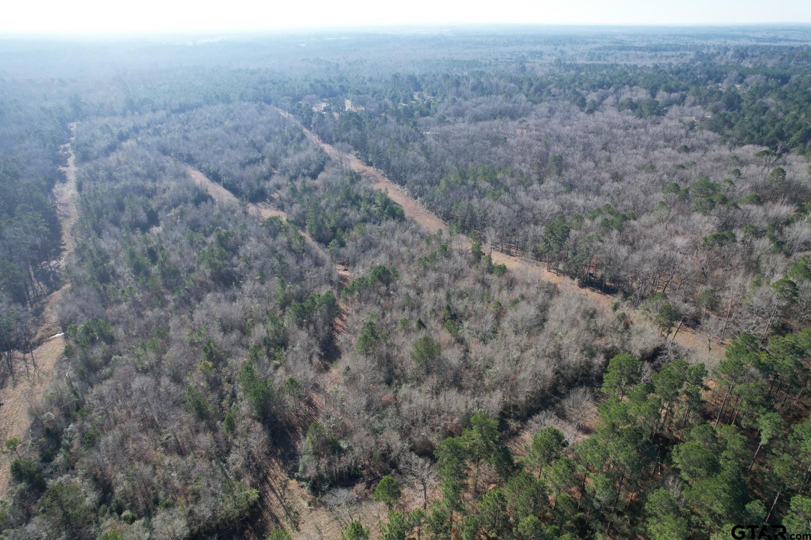 TBD County Road 4919