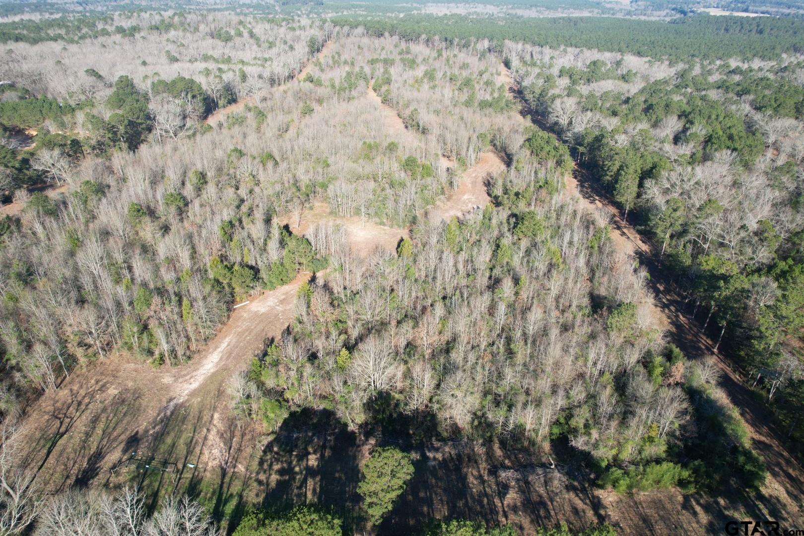 TBD County Road 4919