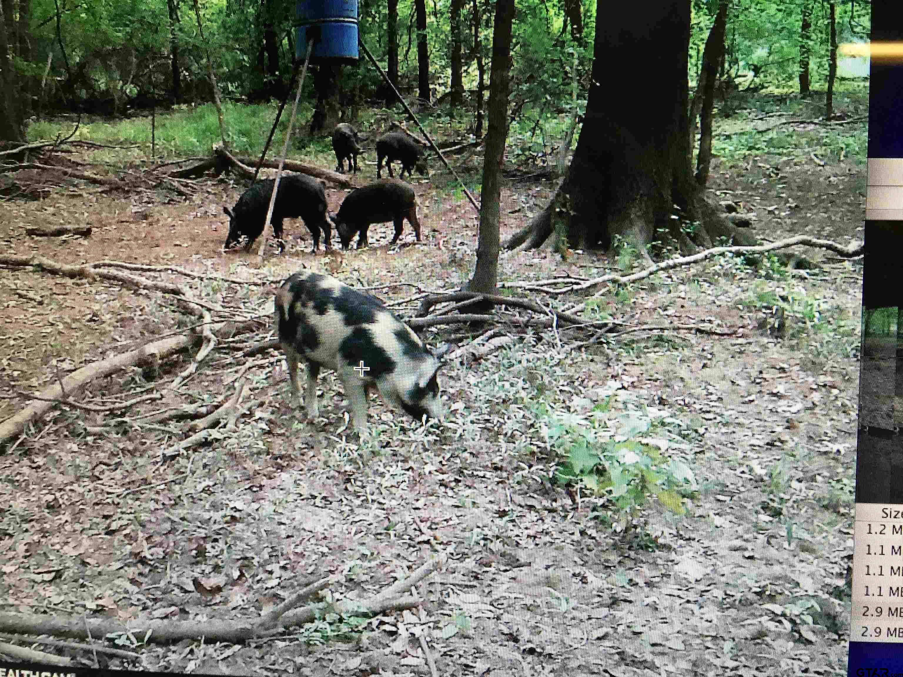 TBD 18.77 acres FM 279