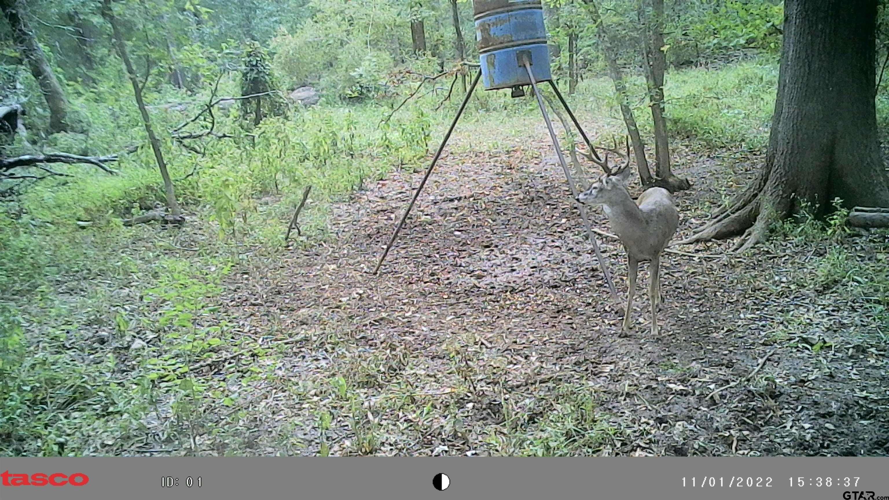 TBD 18.77 acres FM 279