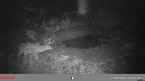 TBD 18.77 acres FM 279 Chandler TX 75758