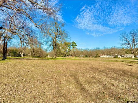 400 HILL AVE Pittsburg TX 75686