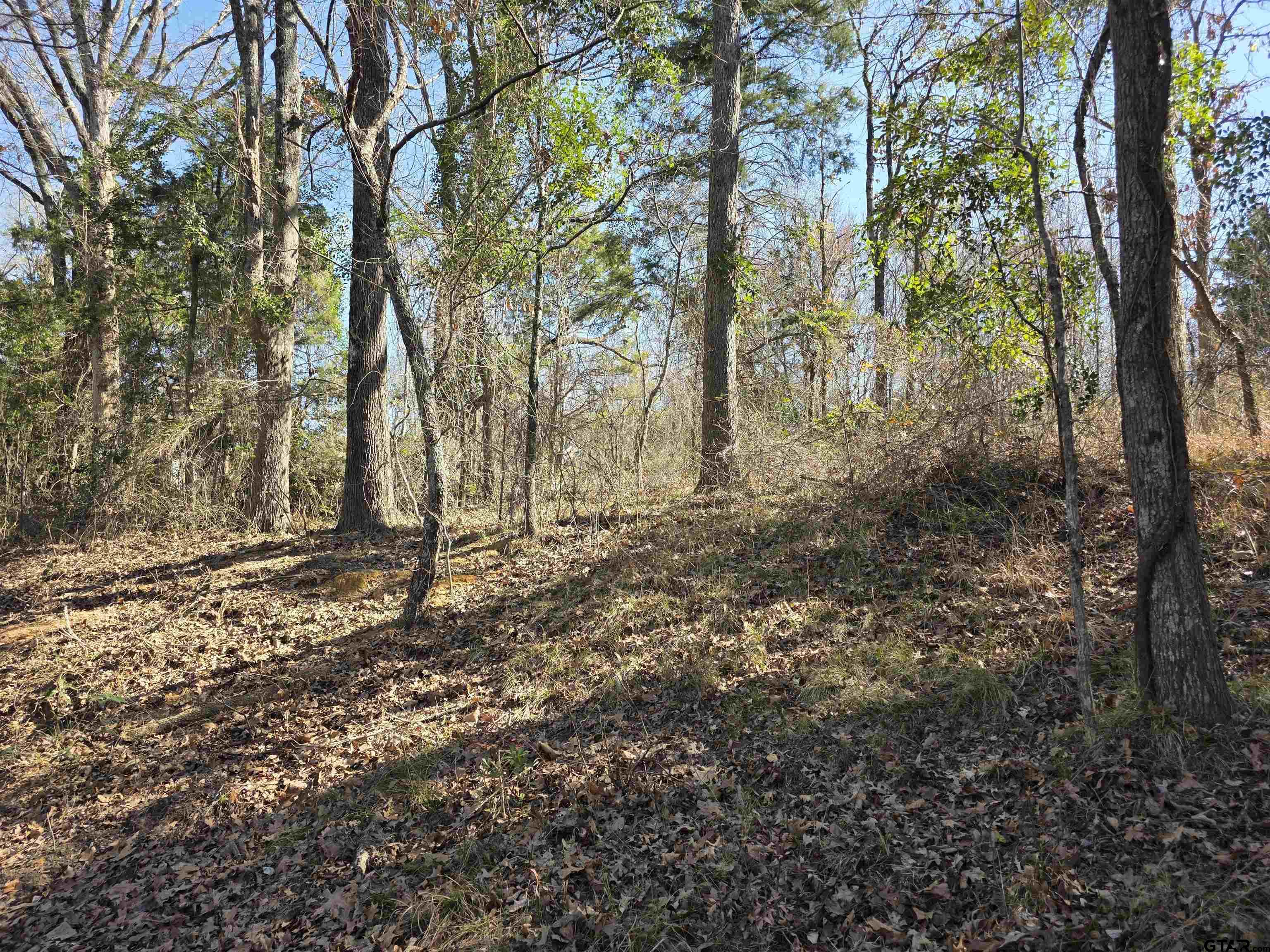 000 County Road 1418