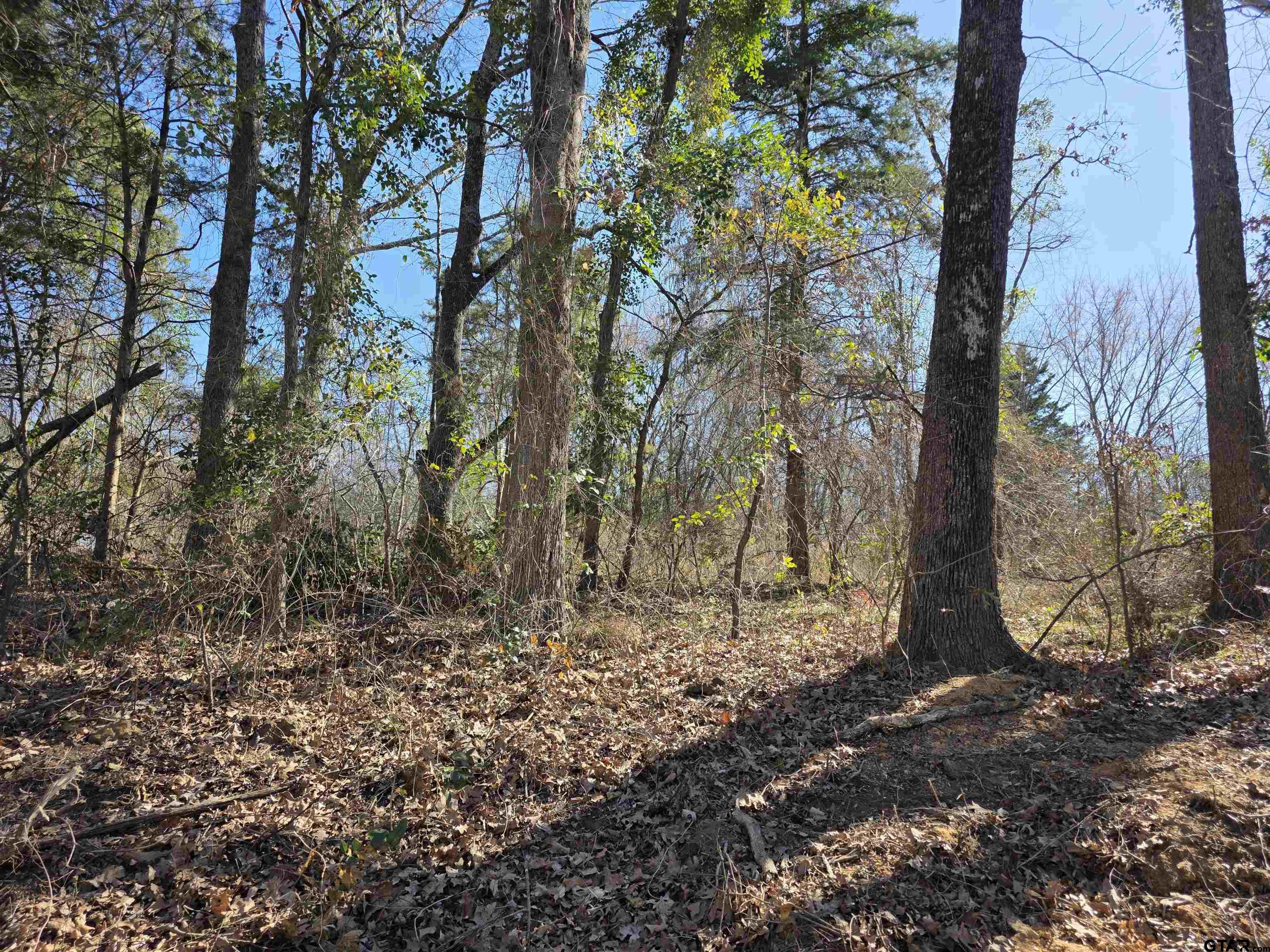 000 County Road 1418