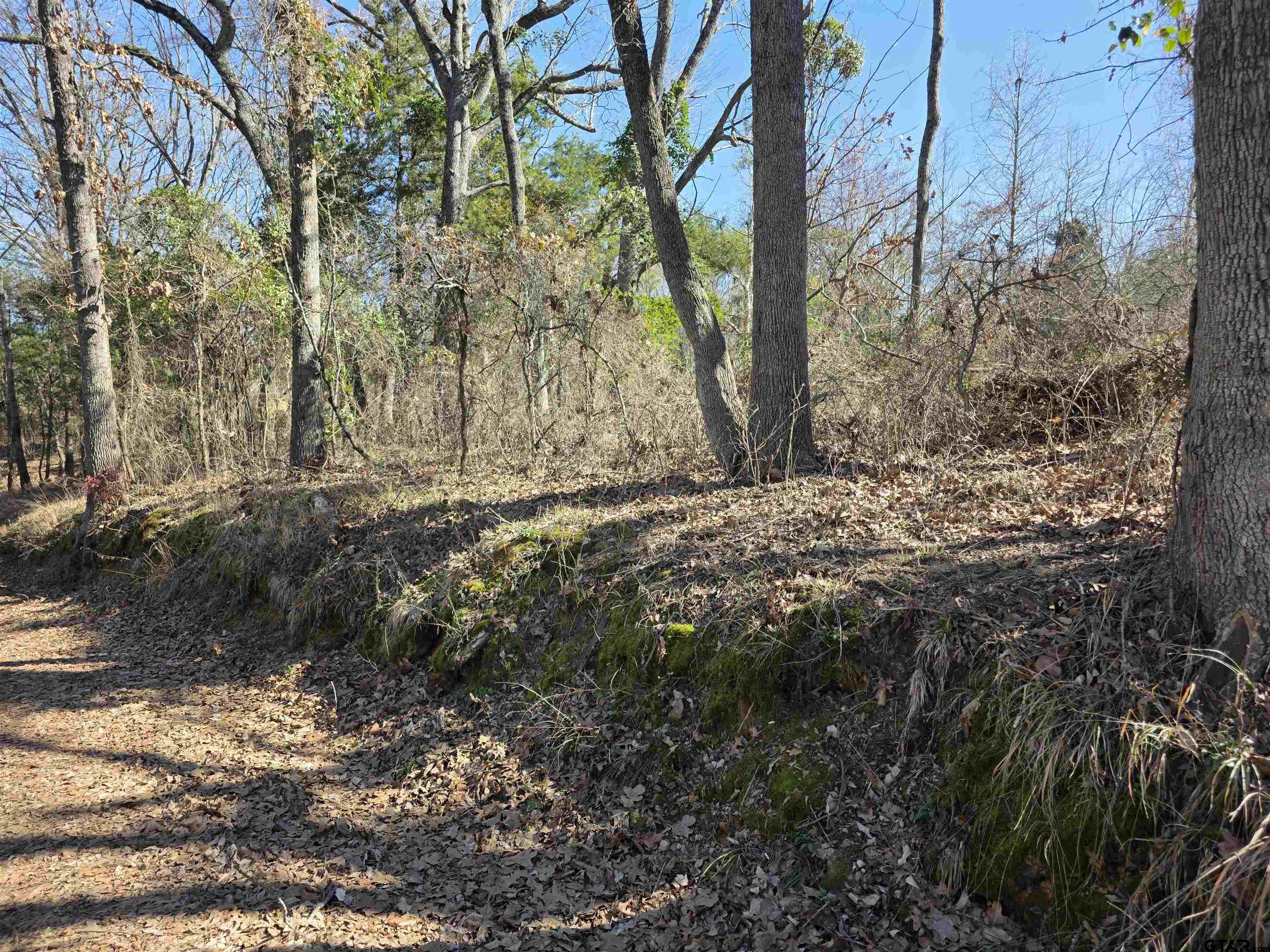 000 County Road 1418