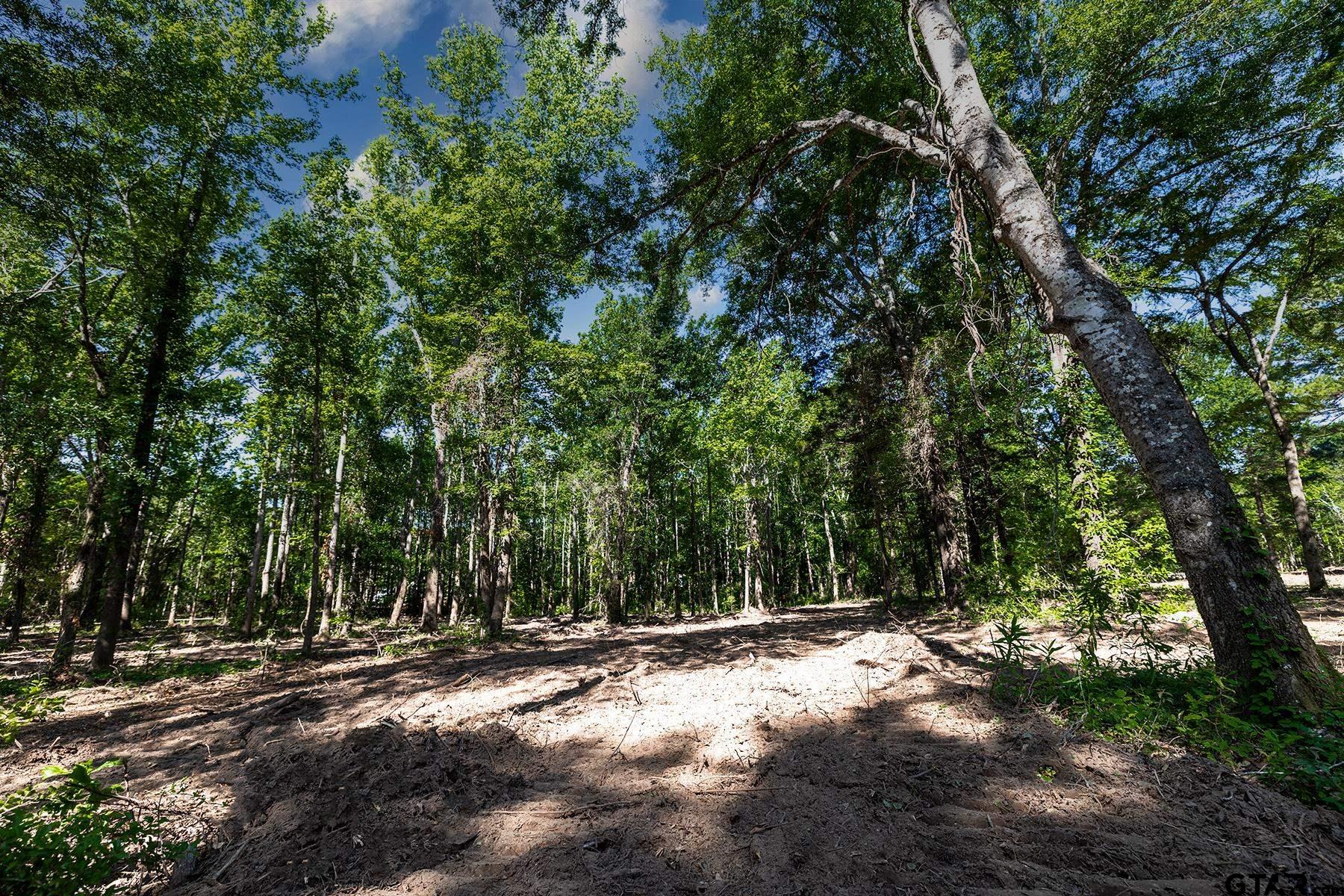 3160 N FM 346 Lot 4