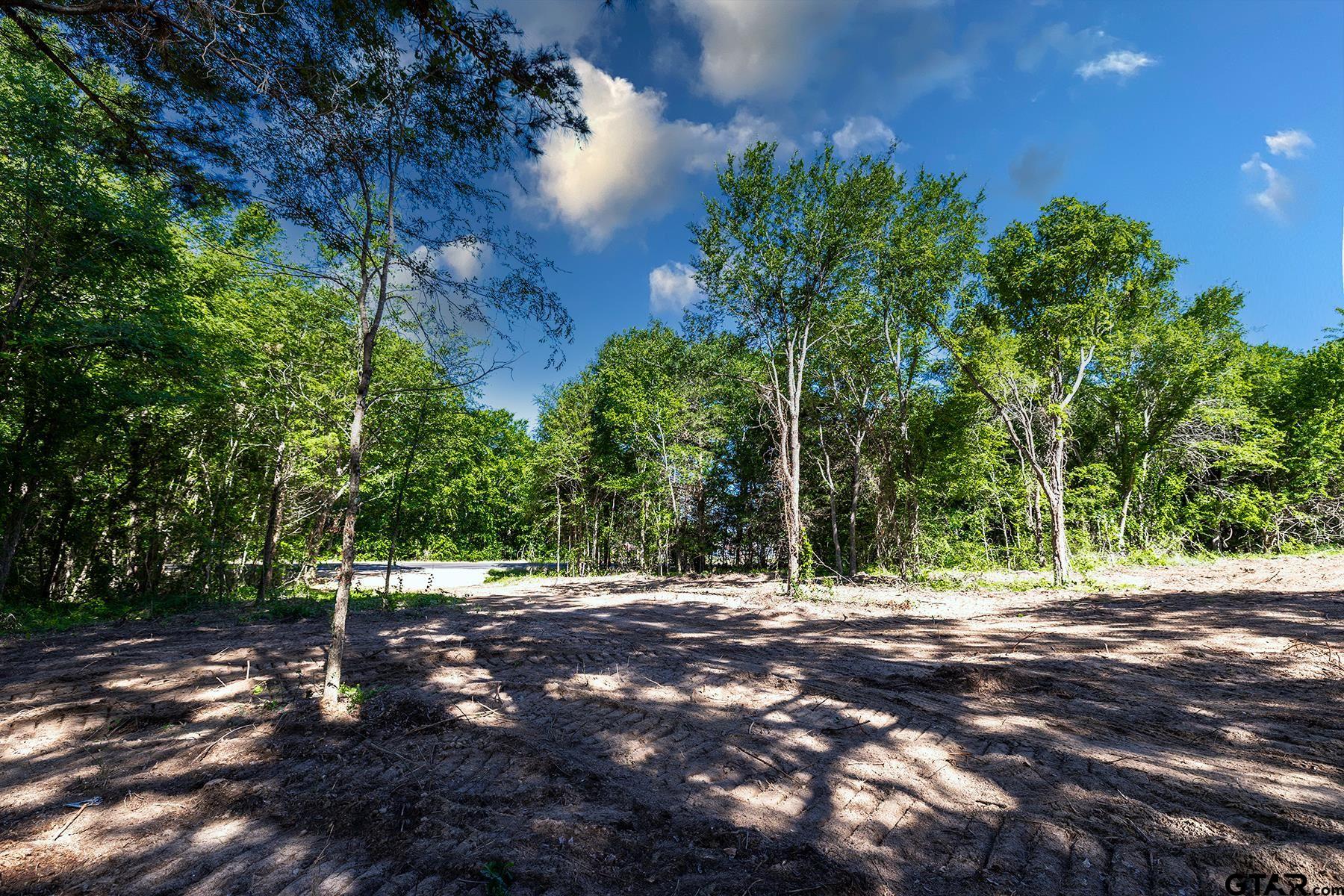 3160 N FM 346 Lot 4