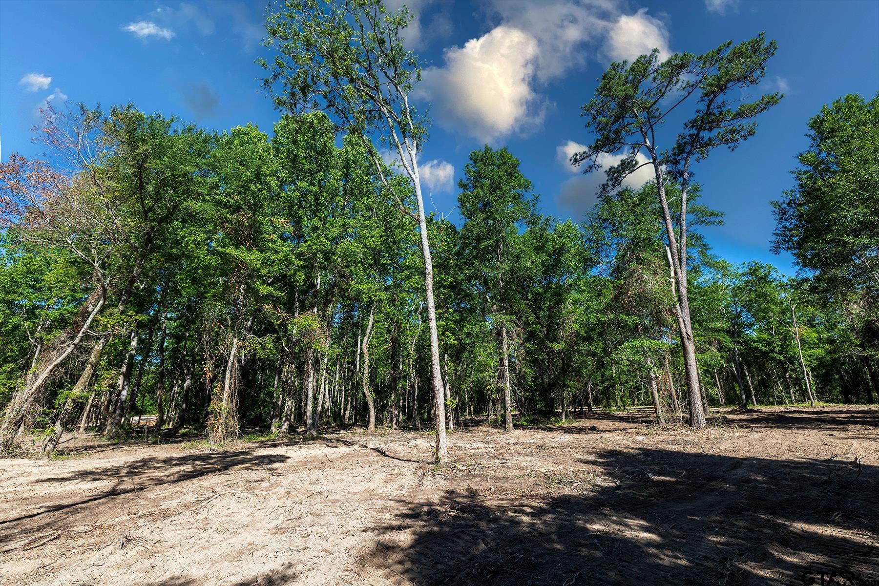 3160 N FM 346 Lot 4