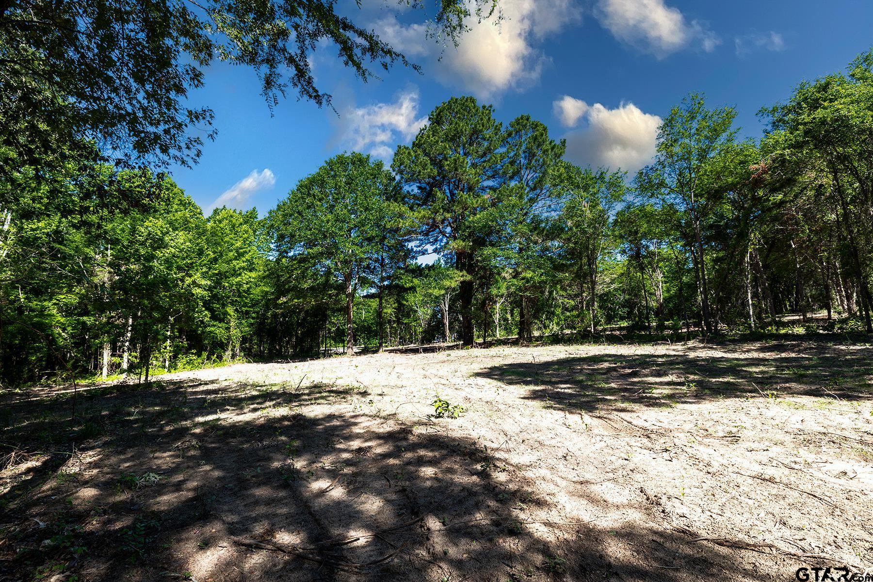 3160 N FM 346 Lot 4