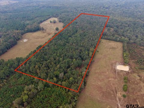 339 County Road 3966 Mineola TX 75773