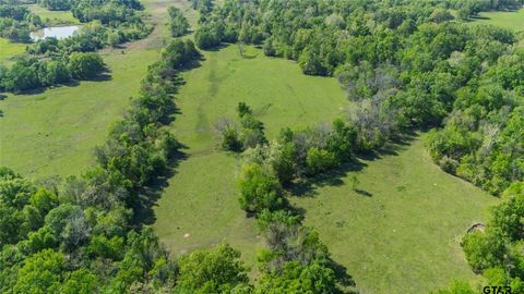 72 Acres N Farm Road 900 Saltillo TX 75478