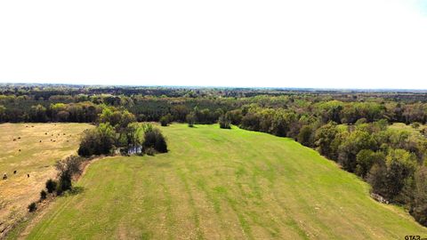 808 W FM 1519 Pittsburg TX 75686