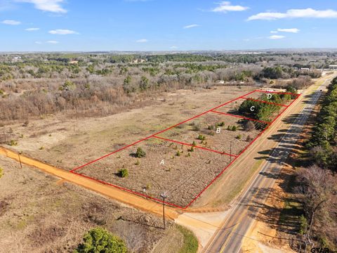 MLS: 25001868