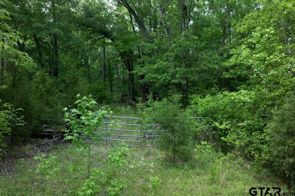 4605 County Road 3800