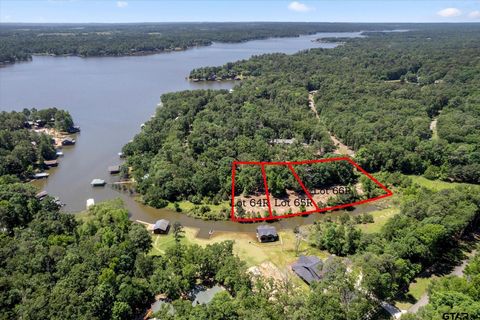 64R King Frederick Court Scroggins TX 75480