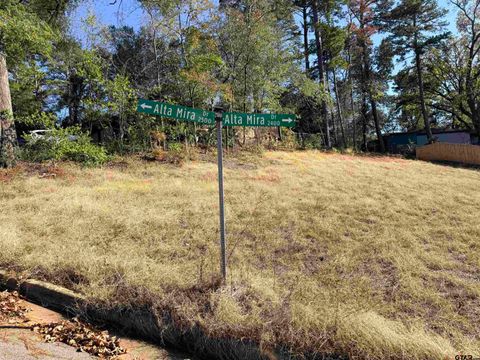 2505 Alta Mira Drive Tyler TX 75701