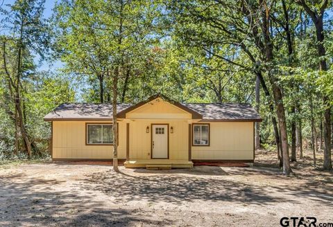 A home in Holly Lake Ranch