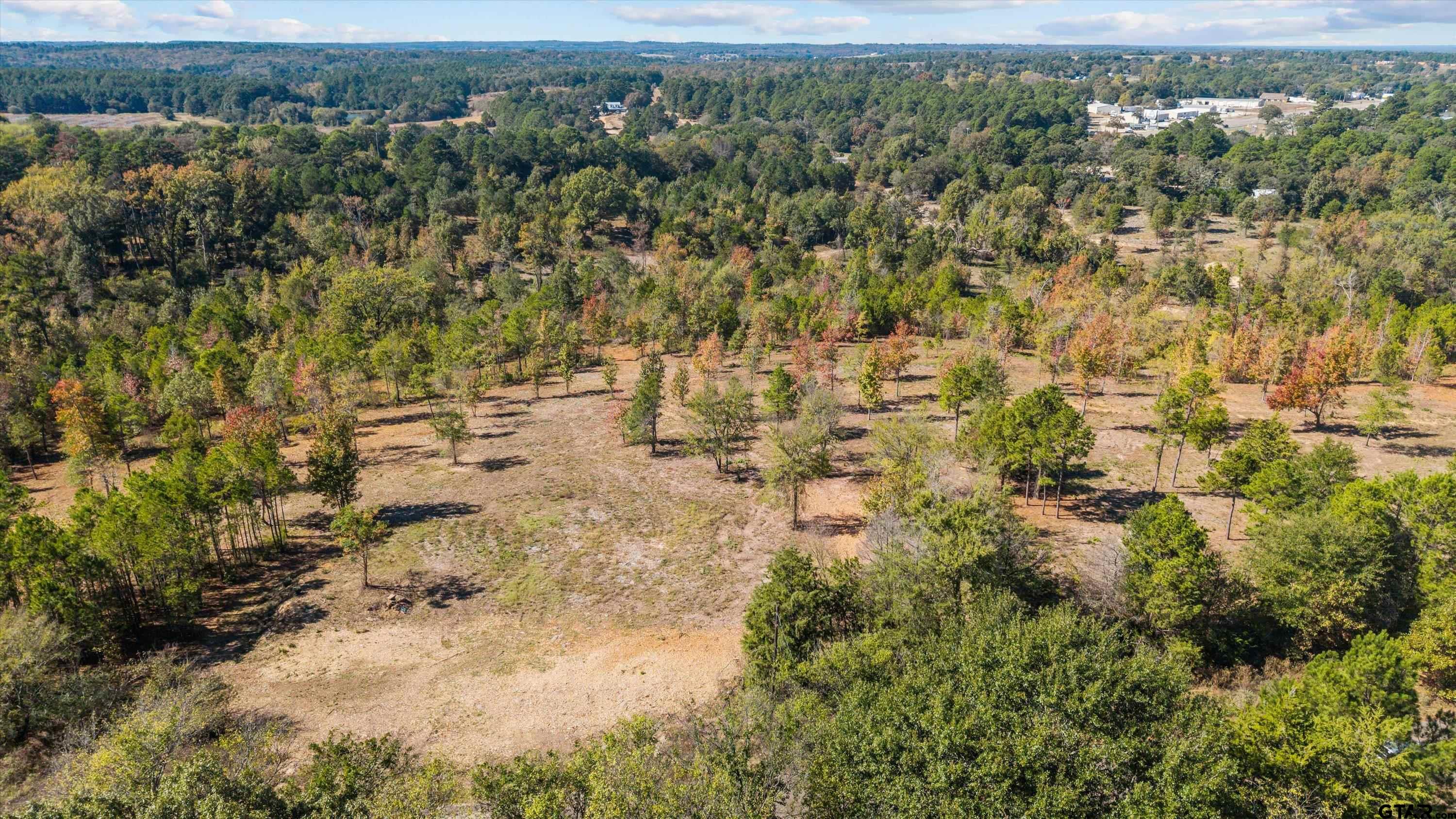 TBD County Road 4112 Lot 5