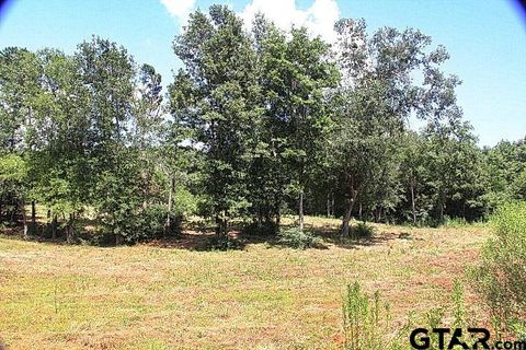 985 Stone Chimney Rd. (Lot 12 CR 3608) Bullard TX 75757