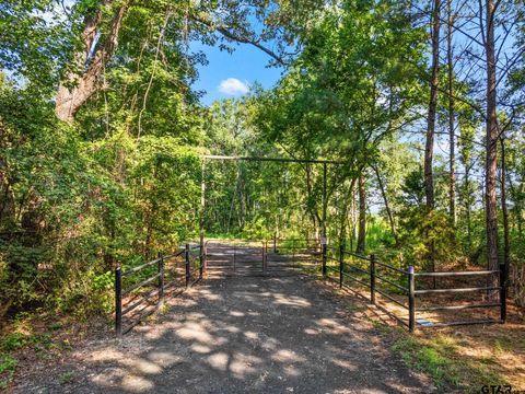 000 Mink Road Gilmer TX 75644